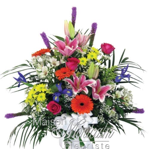 Corbeille Campagne Colorée