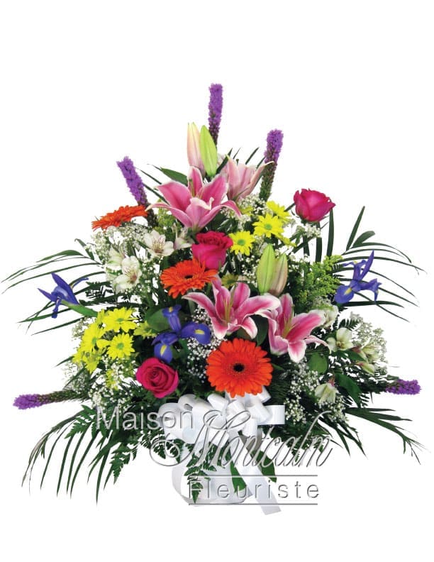 Corbeille Campagne Colorée