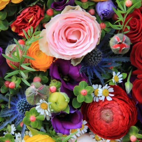 Fleurs coupées saisonnières