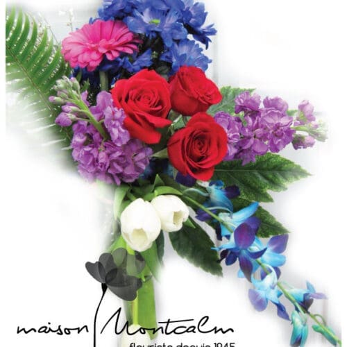 vase-option-bleu-violet-rouge