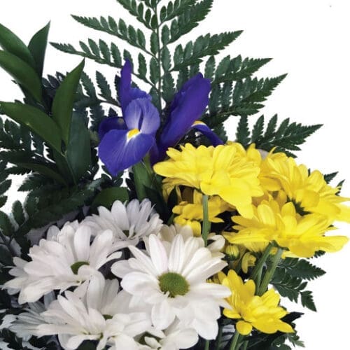 Bouquet de marguerites et fleurs de printemps