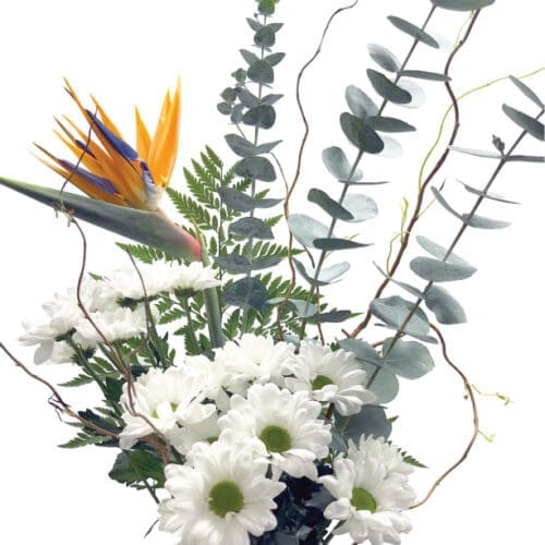 BouquetDon L'Autre Versant