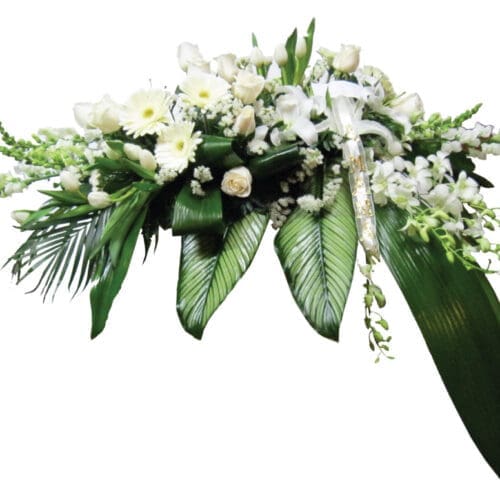 Coussin de cercueil CS-100