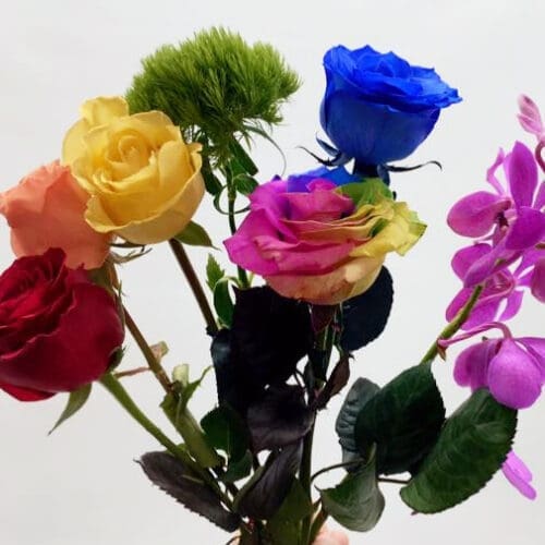 couleurs fleurs variees