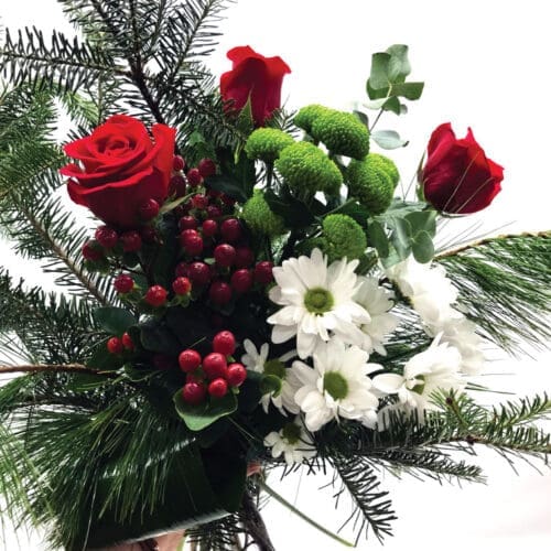 Fleurs coupées de Noel