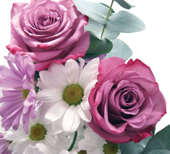 Corbeille Paisible Maria – Image 3