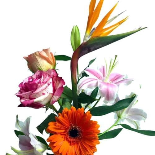 Oiseau du paradis, roses pêches et roses, lys rose, gerbera orange