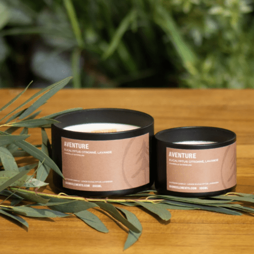 Chandelle Biome : Aventure