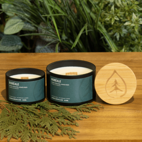 Chandelle Biome : Boréale