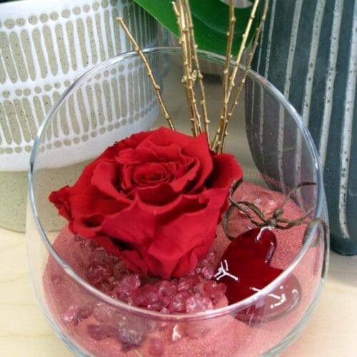 Rose rouge éternelle de St-Valentin
