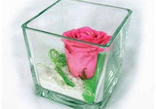 rose-eternelle-rose-cube